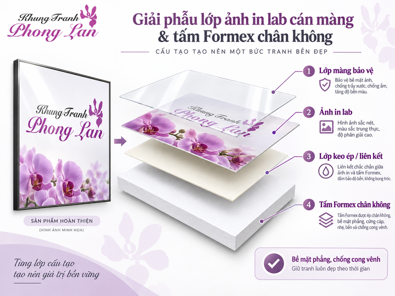 Infographic cấu tạo đa tầng bồi formex của khung ảnh cưới